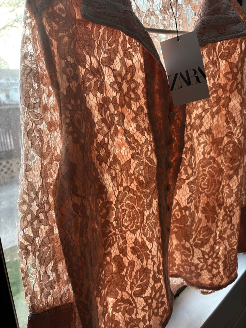 Zara Lace Blouse NWT Sheer Pink Button Up Top Romantic Cottagecore Shirt
